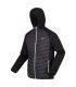 Chaqueta Regatta Andreson VIII Hombre