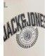 Sudadera Jack & Jones Jjkam Varsity Branding Sweat Hood Junior Beige