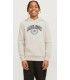 Sudadera Jack & Jones Jjkam Varsity Branding Sweat Hood Junior Beige