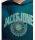Sudadera Jack & Jones Jjkam Varsity Branding Sweat Hood Junior Verde