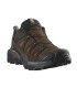 Zapatilla Salomon X Ultra 360 LTR GTX Hombre