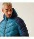 Chaqueton Regatta Hoode Dalent Morocan Blue Hombre