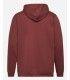 Sudadera Columbia Trek Hoodie Spice Hombre