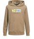Sudadera Jack & Jones Jorfrederiksberg Box SCI SW H SN UNB JUNIOR