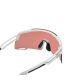 Gafas Shimano CE-SPSL2-RD Matte Crystal Ridescape RD