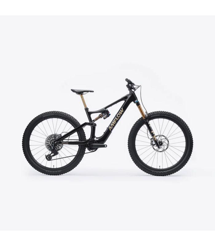 Bicicleta Amflow PL Carbon Pro 800Wh