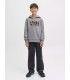 Sudadera Jack & Jones JJGeplas Sweat Hood Junior Gris