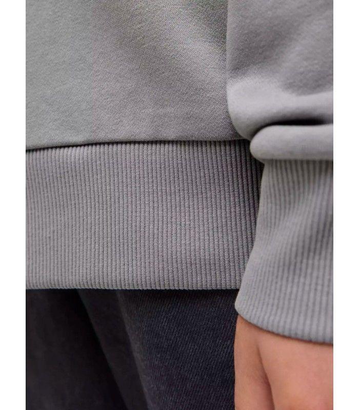 Sudadera Jack & Jones JJGeplas Sweat Hood Junior Gris