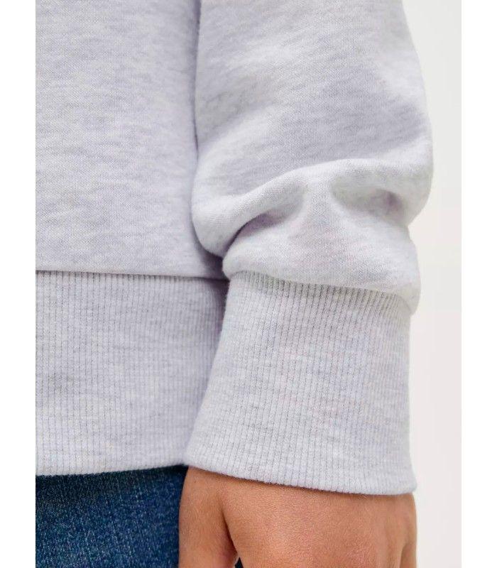 Sudadera Jack & Jones JJGeplas Sweat Hood Junior Gris Claro