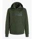 Sudadera Jack & Jones JJecorp Logo Sweat Hood Noos Junior Verde