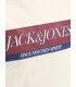 Camiseta Jack & Jones Jorinwood Block Branding Tee LS CN Junior