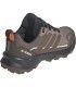 Zapatilla Adidas Terrex Skychaser AX5 GTX Mujer