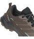 Zapatilla Adidas Terrex Skychaser AX5 GTX Mujer