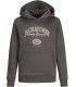 Sudadera Jack & Jones JJariBranding Sweat Hood Junior Pavement