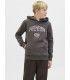 Sudadera Jack & Jones JJariBranding Sweat Hood Junior Pavement
