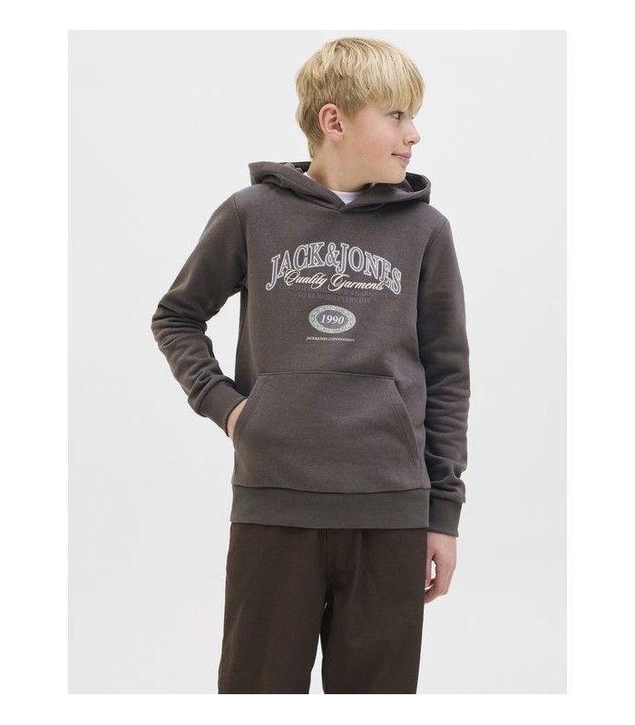 Sudadera Jack & Jones JJariBranding Sweat Hood Junior Pavement