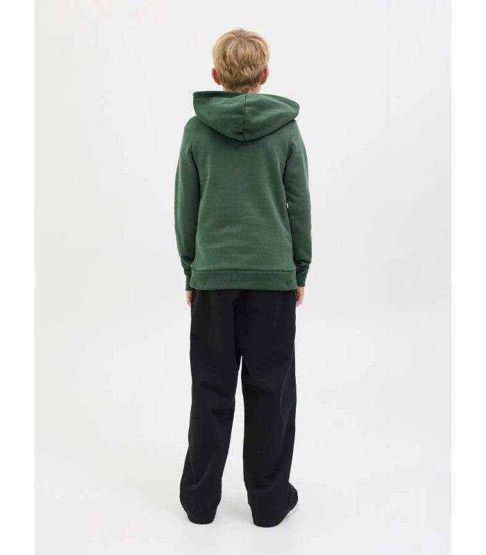 Sudadera Jack & Jones JJariBranding Sweat Hood Junior Sycamore