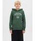 Sudadera Jack & Jones JJariBranding Sweat Hood Junior Sycamore