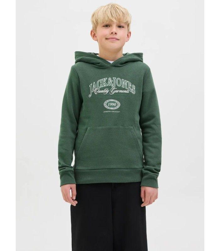 Sudadera Jack & Jones JJariBranding Sweat Hood Junior Sycamore