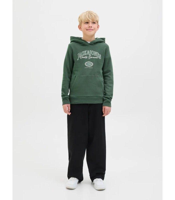 Sudadera Jack & Jones JJariBranding Sweat Hood Junior Sycamore