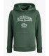 Sudadera Jack & Jones JJariBranding Sweat Hood Junior Sycamore