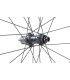 Ruedas Miche Graff Allroad Carbon Gravel Shim Micro Spline- Juego