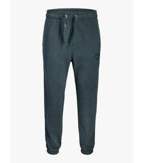 Pantalon Jack & Jones Jpstkane Bleecker Sweat BF Mini Forest River
