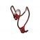Portabotella Specialized Mantacage Rojo 10' 4300-2020