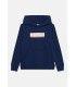 Sudadera Jack & Jones Jorinwood Block Branding Sweat Hoo Mini Ocean Cavern