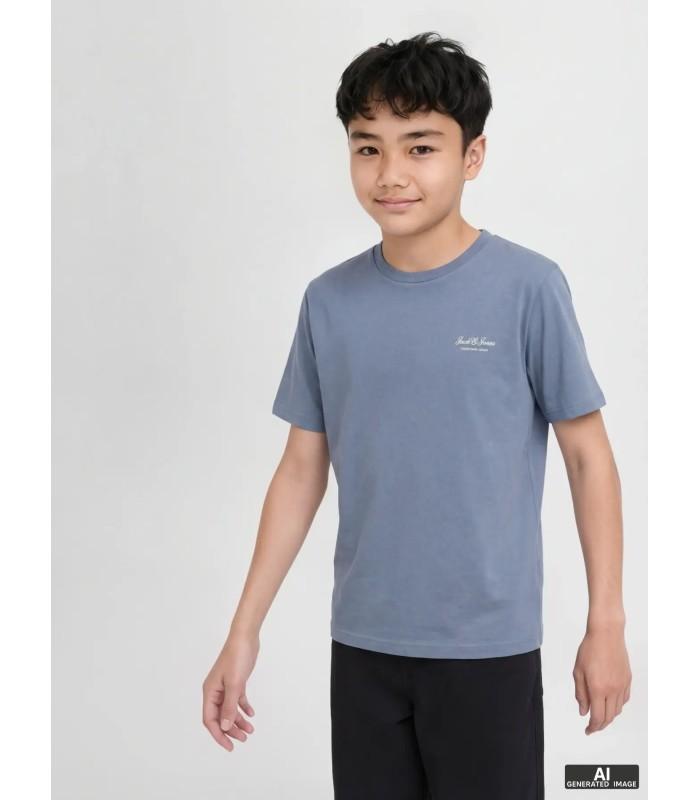 Camiseta Jack & Jones JJearchive Graphic Tee SS O-Neck Noos Junior Blue Mirage