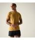 Camiseta Dare 2B Persist Tee Wood Brown Hombre