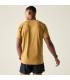Camiseta Dare 2B Persist Tee Wood Brown Hombre
