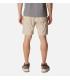 Pantalon Columbia Silver Ridge Utility Cargo Short Ancient Fossil Hombre