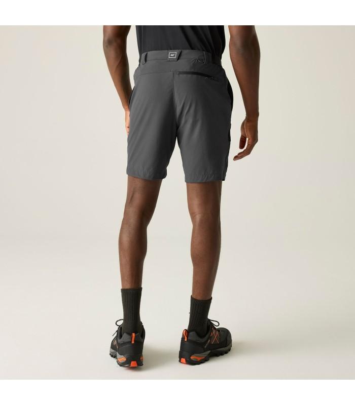 Pantalon Regatta Anti Insect Tvl Short Ash Hombre