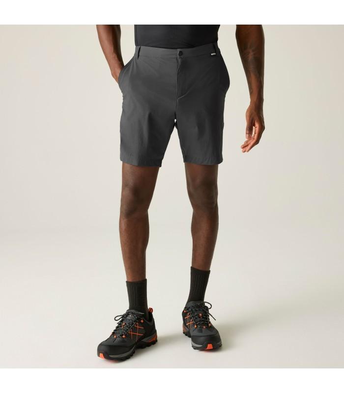 Pantalon Regatta Anti Insect Tvl Short Ash Hombre