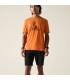 Pantalon Dare 2B Torrek Lite Short Black Hombre