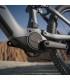 Amflow PR Carbon 800w