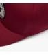 Gorra Fox Badge Flexfit Hat Cab