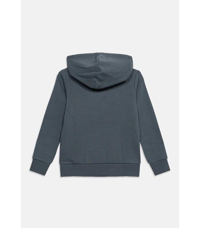 Sudadera Jack & Jones JJecorp Logo Sweat Hood Noos Junior Turbulence Big Tonal