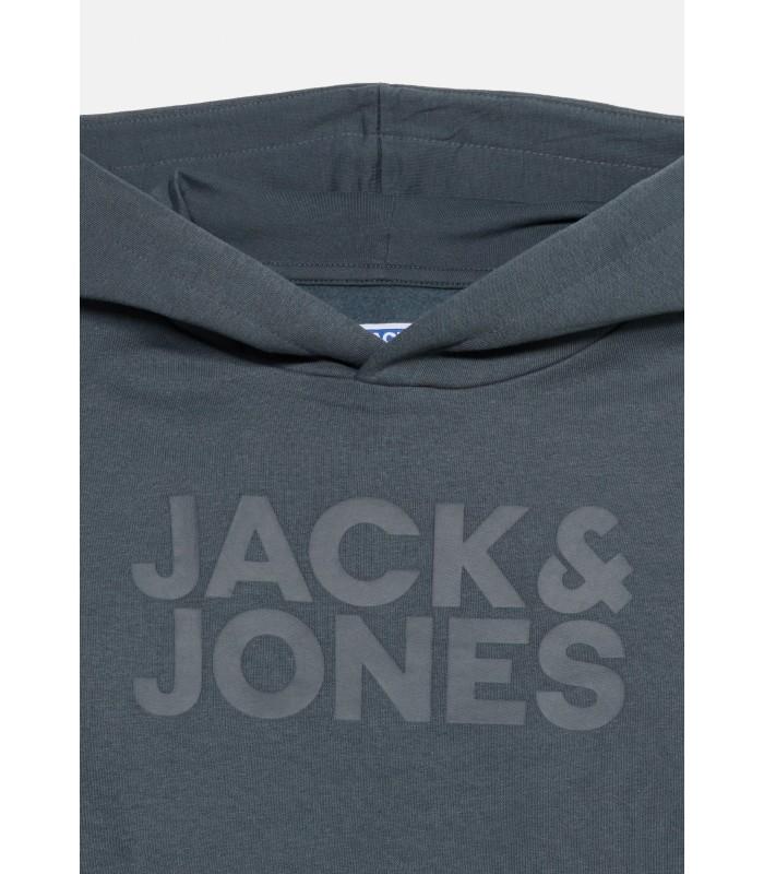 Sudadera Jack & Jones JJecorp Logo Sweat Hood Noos Junior Turbulence Big Tonal