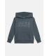 Sudadera Jack & Jones JJecorp Logo Sweat Hood Noos Junior Turbulence Big Tonal
