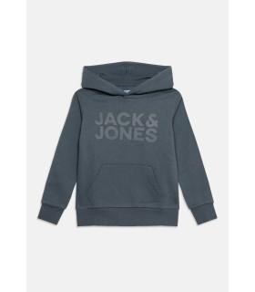 Sudadera Jack & Jones JJecorp Logo Sweat Hood Noos Junior Turbulence Big Tonal