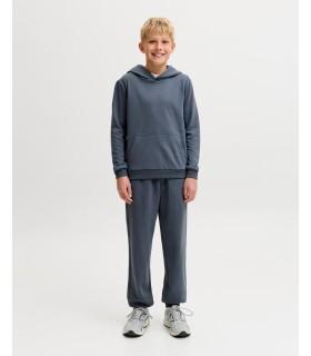 Pantalon Jack & Jones JPstGordon JJNewsoft Sweat Junior Noos Turbulence Tonal