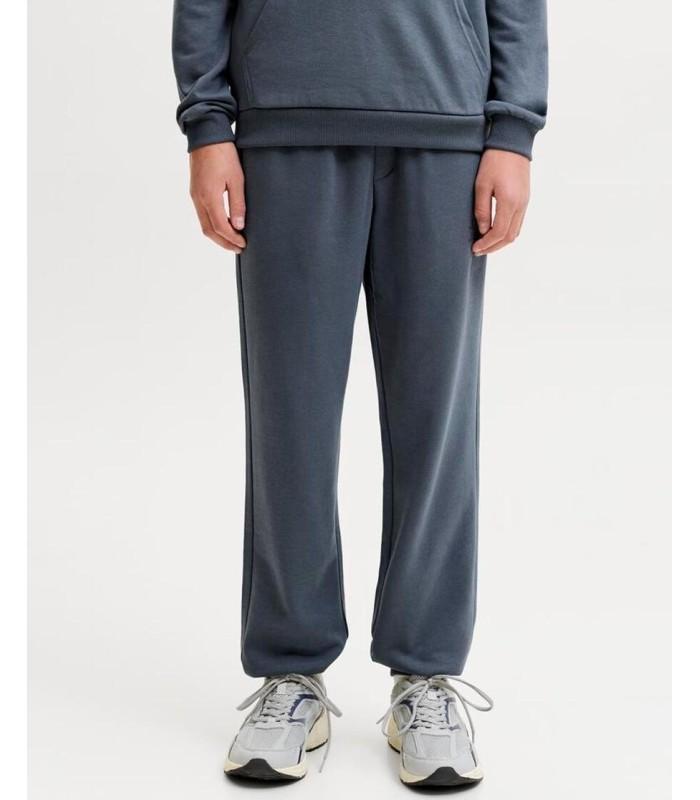 Pantalon Jack & Jones JPstGordon JJNewsoft Sweat Junior Noos Turbulence Tonal