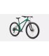 Bicicleta Specialized Rockhopper Sport KH 29 Gloss Pine Green / Desert Rose