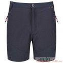 Short Regatta Highton W. / Gris
